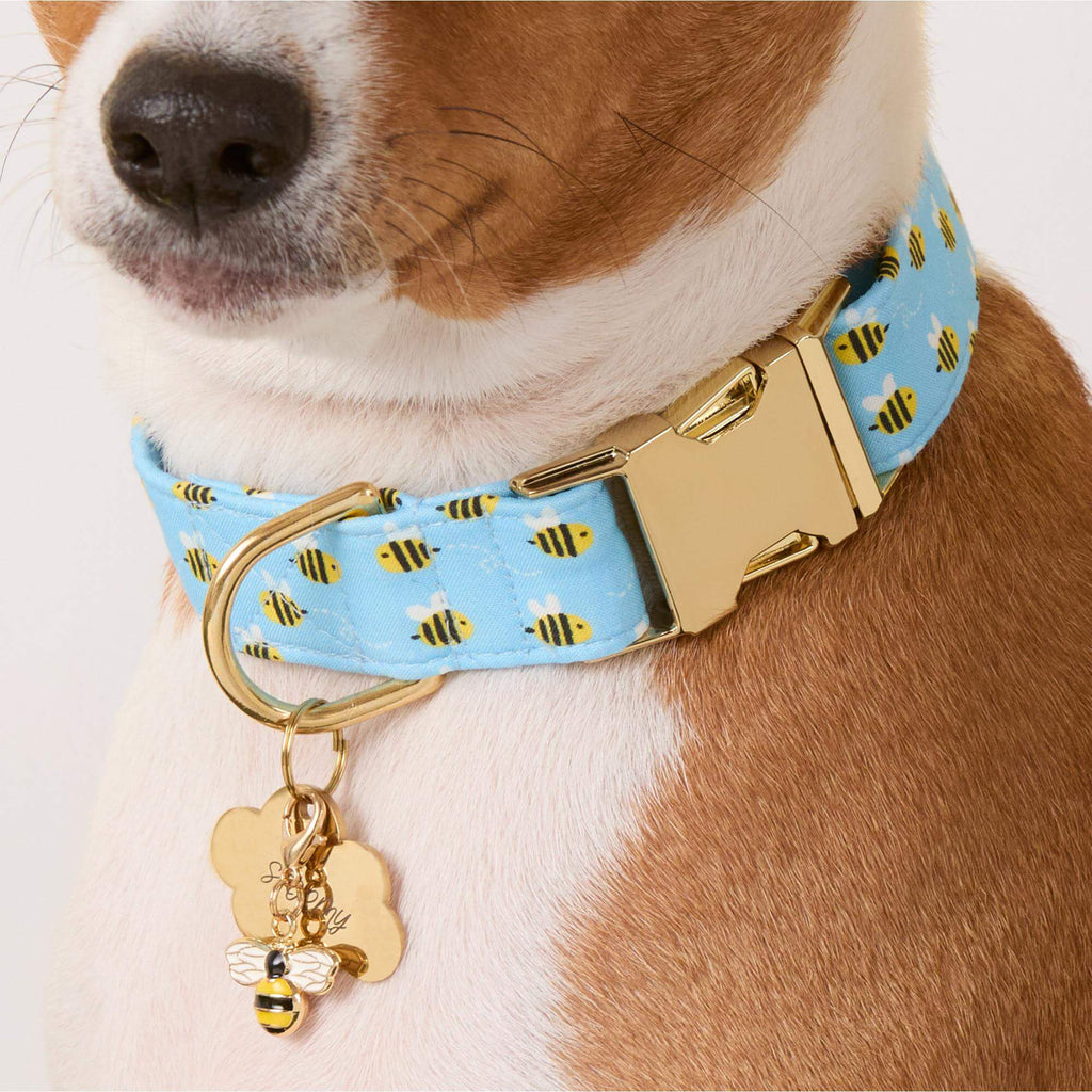 Sweet as Can Bee Dog Collar