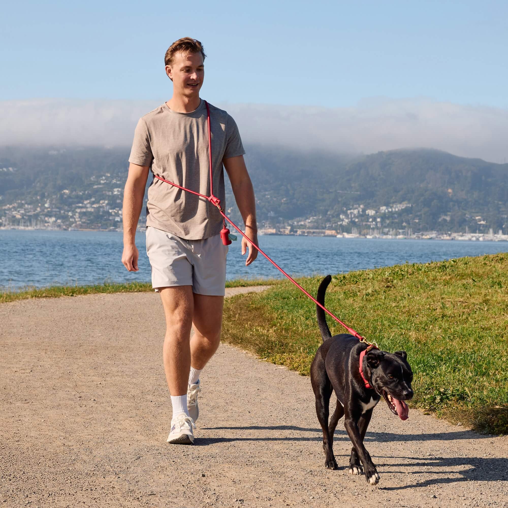 Active Hands-Free Dog Leash, Ember