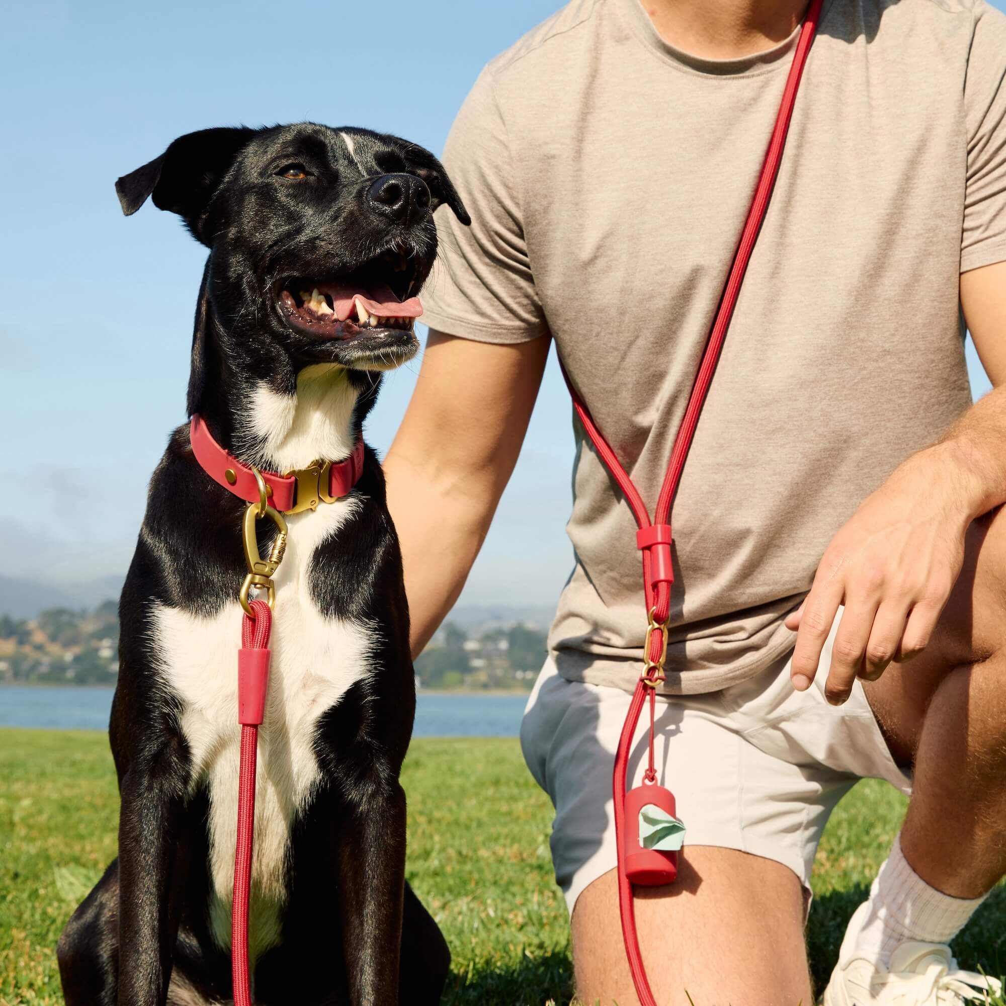Active Flex Dog Collar, Ember