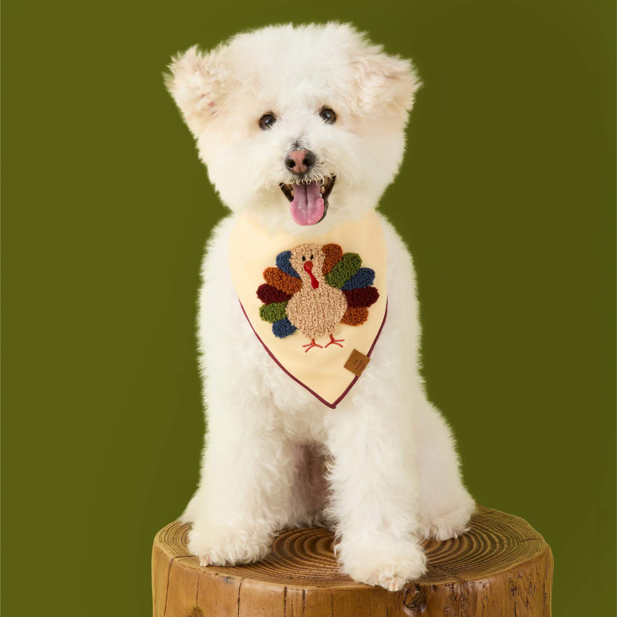 Turkey Applique Dog Bandana