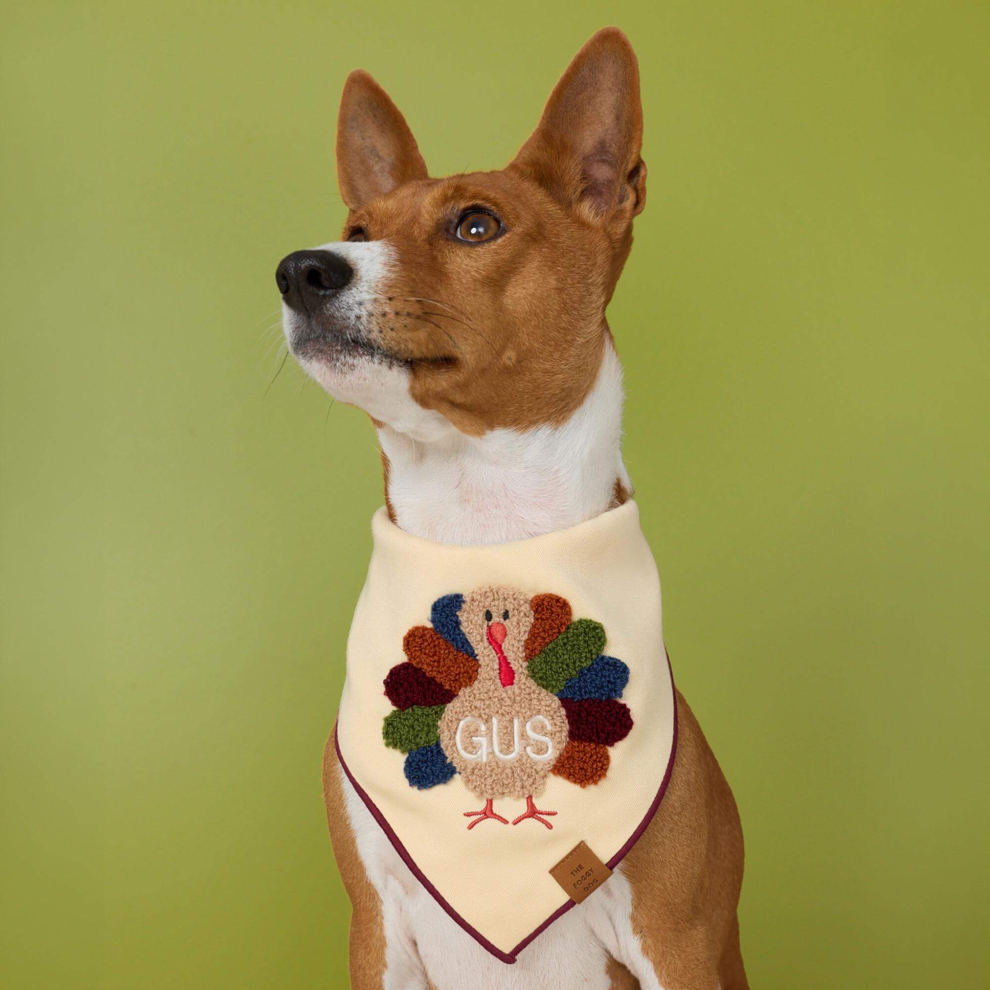 Turkey Applique Dog Bandana