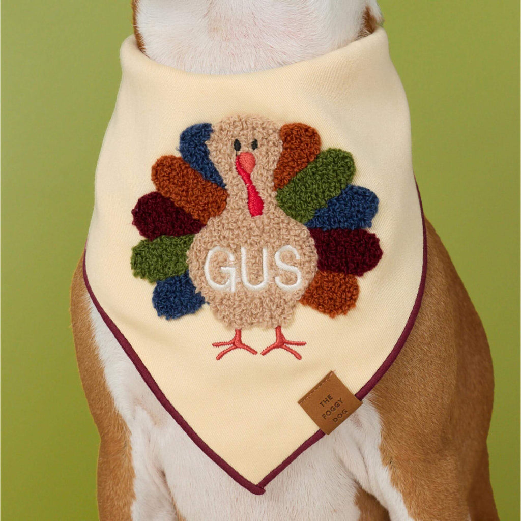Turkey Applique Dog Bandana