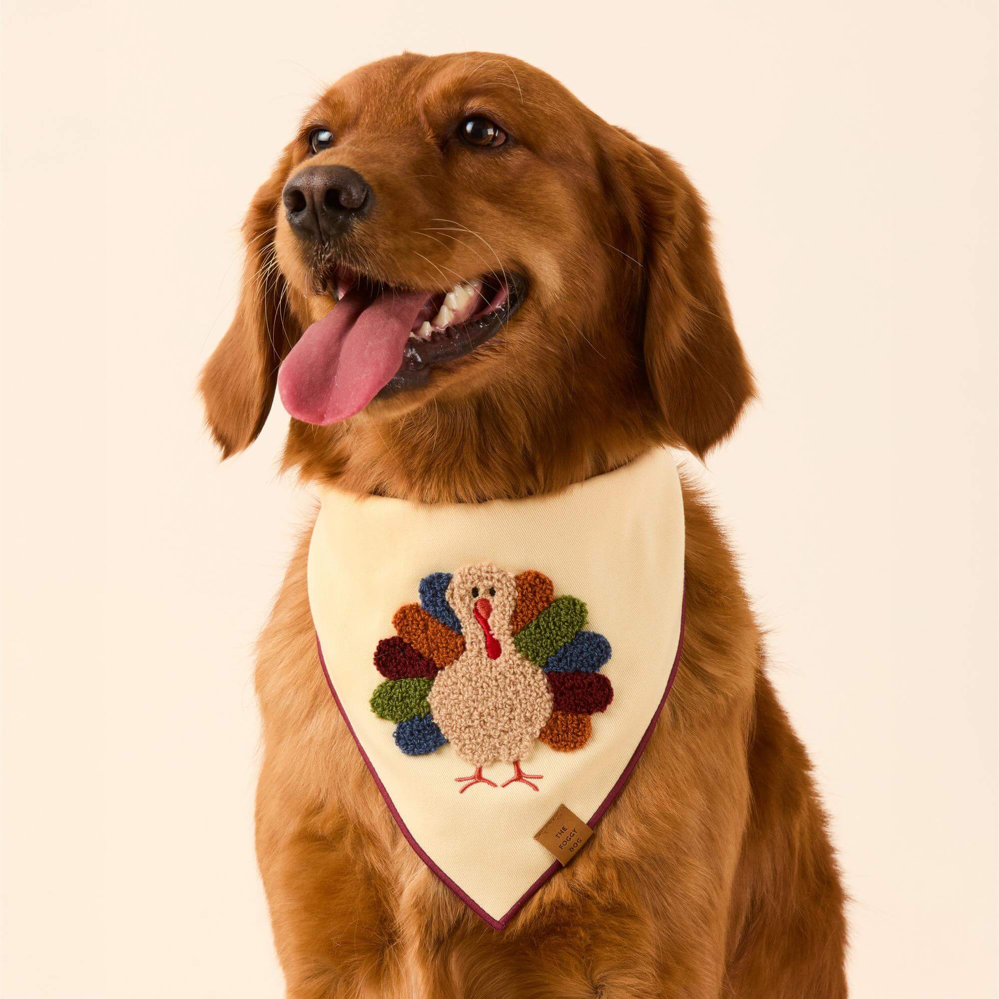 Turkey Applique Dog Bandana