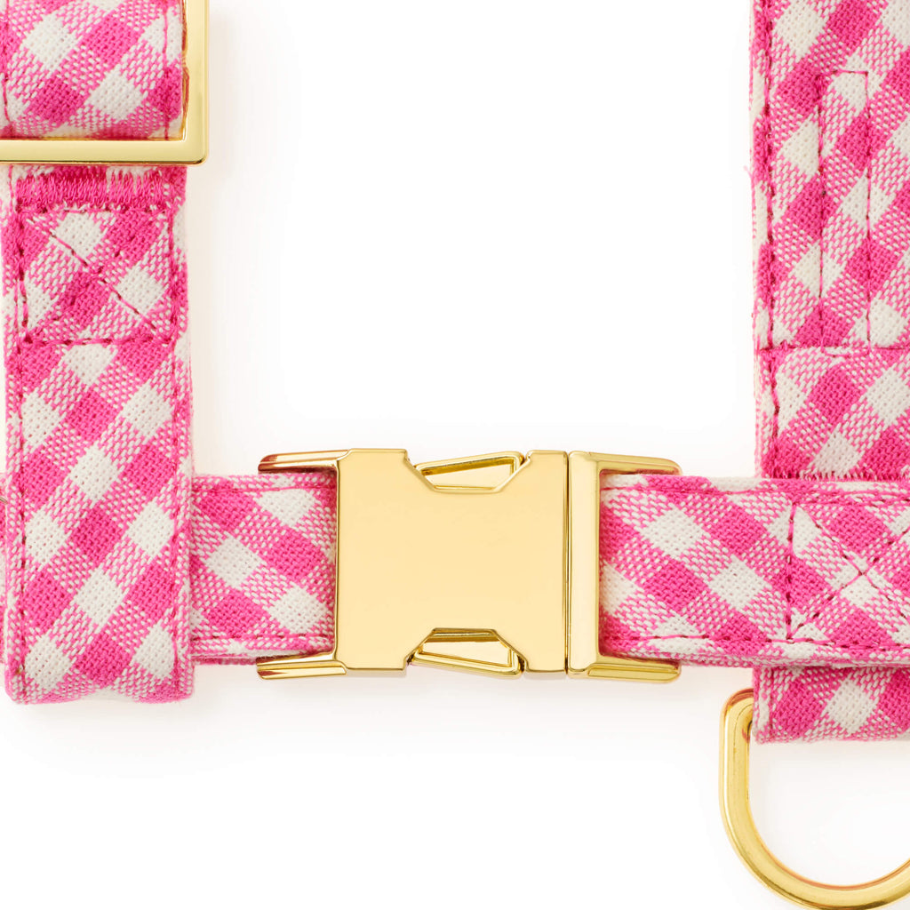 Hot Pink Gingham Harness Walk Set