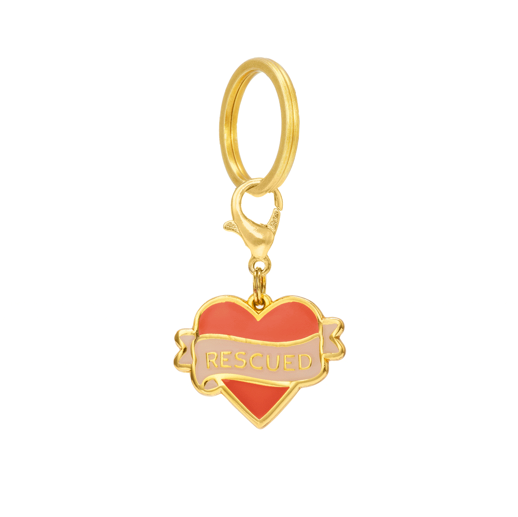 Rescued With Love Collar Charm