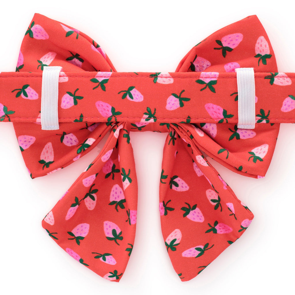 Berry Sweet Lady Bow Collar