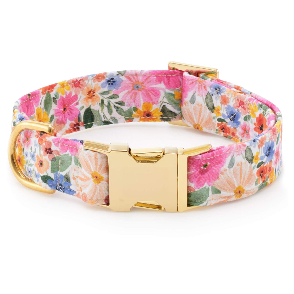 Margaux Lady Bow Collar