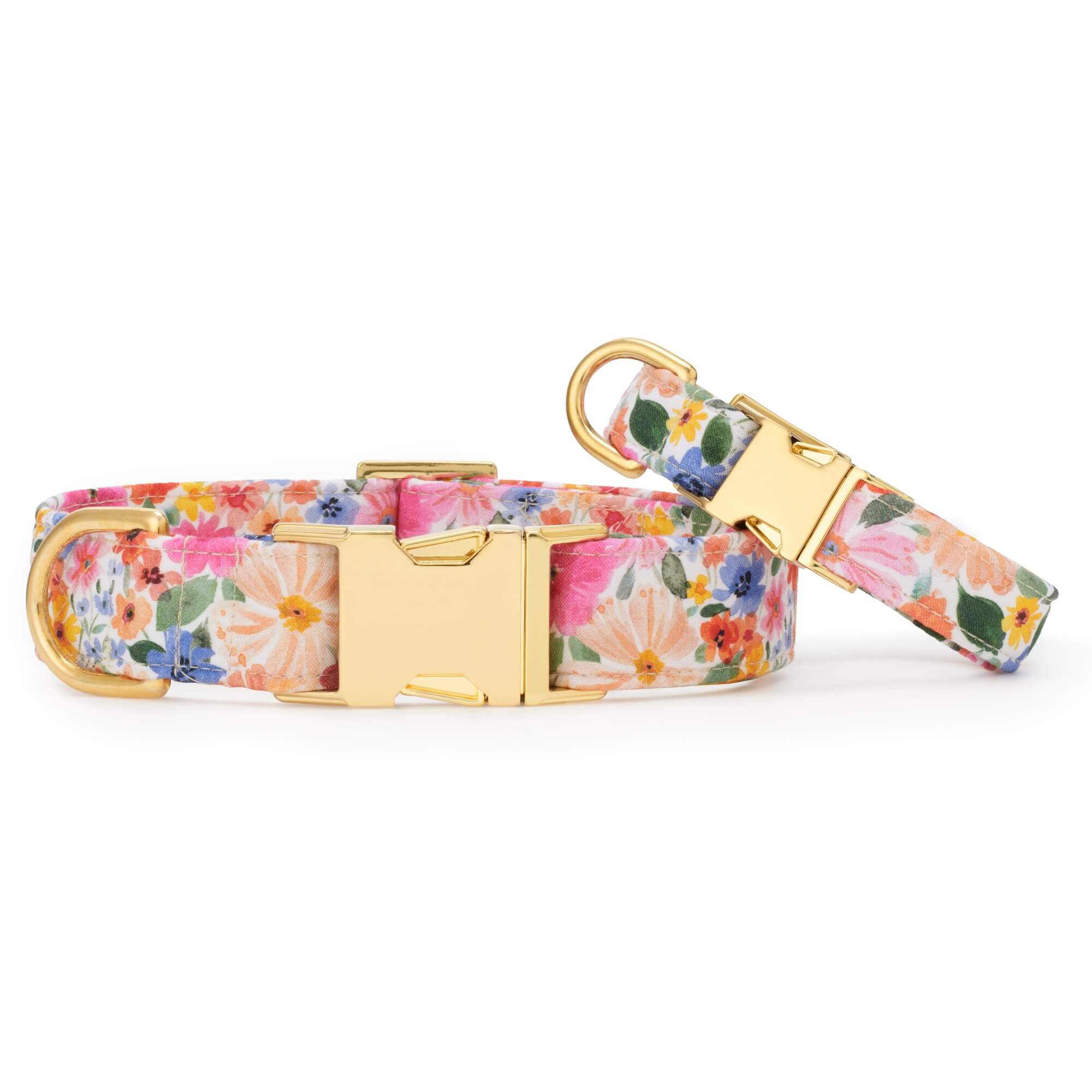 Margaux Dog Collar