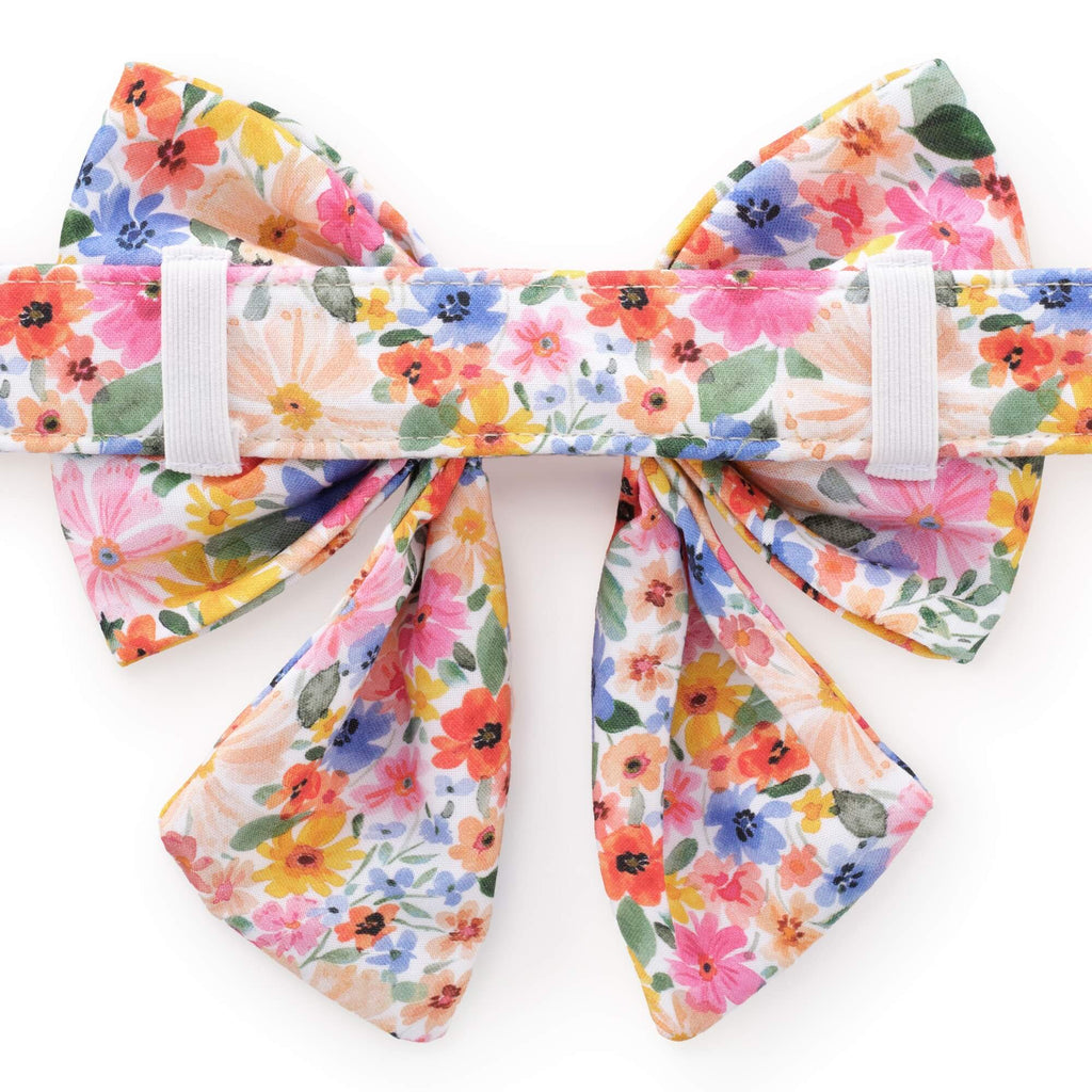 Margaux Lady Bow Collar