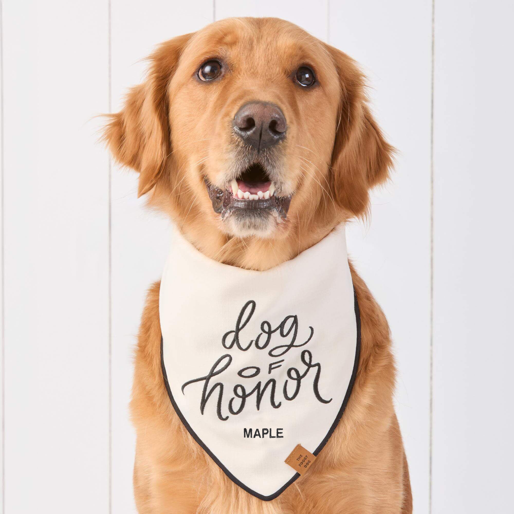 Dog of Honor Embroidered Dog Bandana
