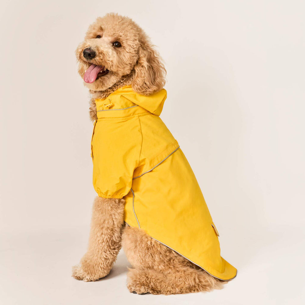 Bright Yellow Reflective Dog Raincoat