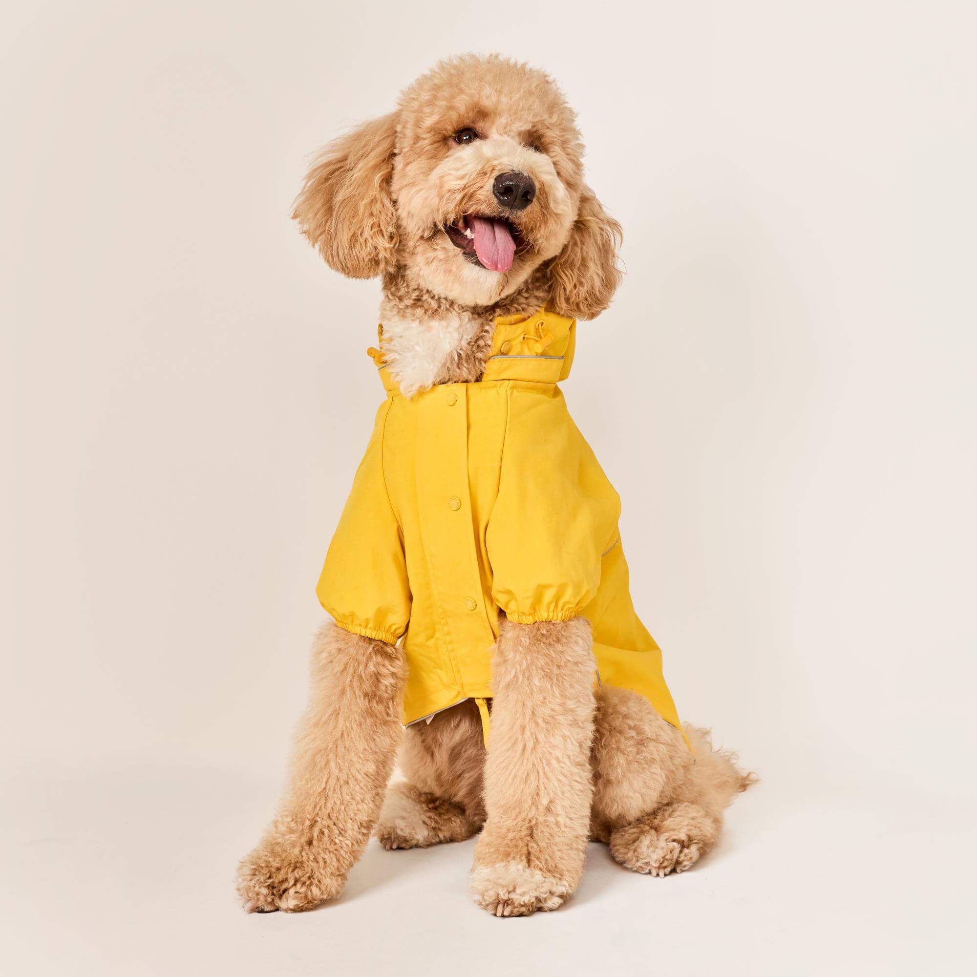 Bright Yellow Reflective Dog Raincoat