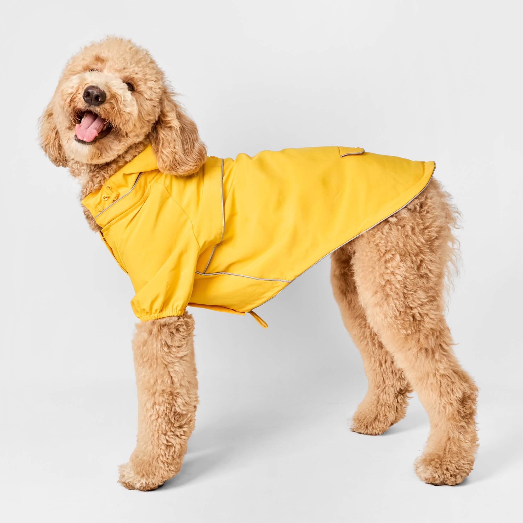 Bright Yellow Reflective Dog Raincoat