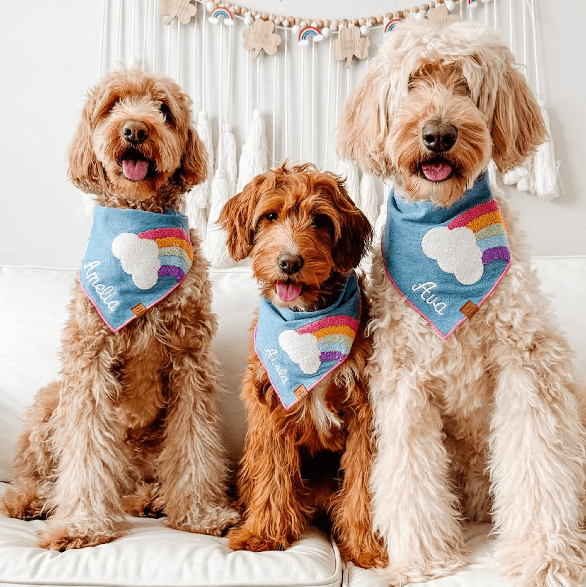Rainbow Applique Dog Bandana