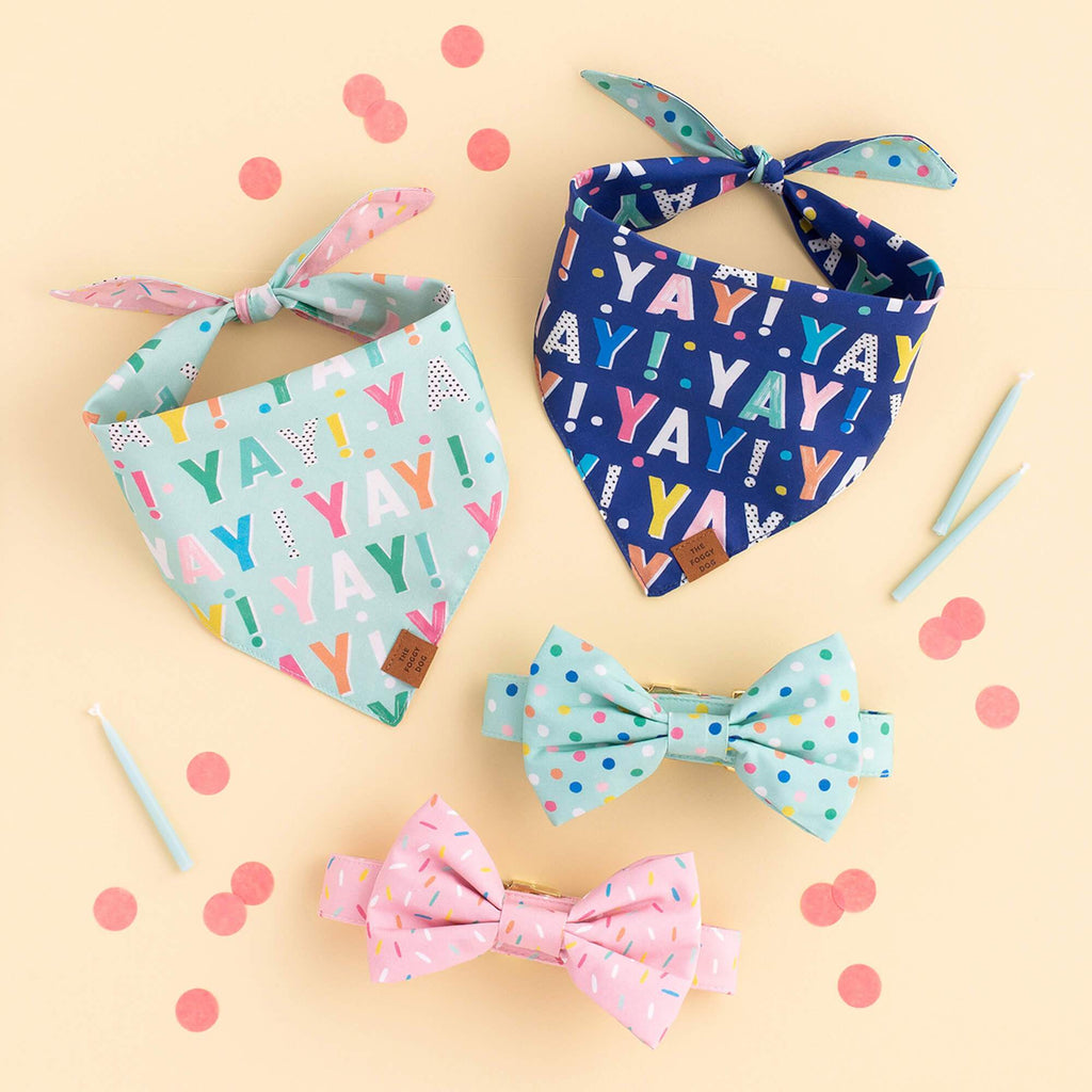 Confetti Dots Bow Tie Collar