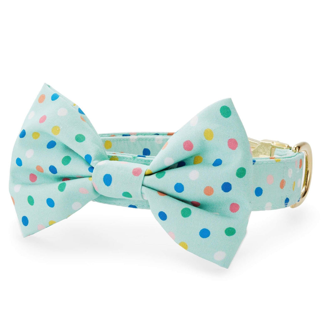 Confetti Dots Bow Tie Collar