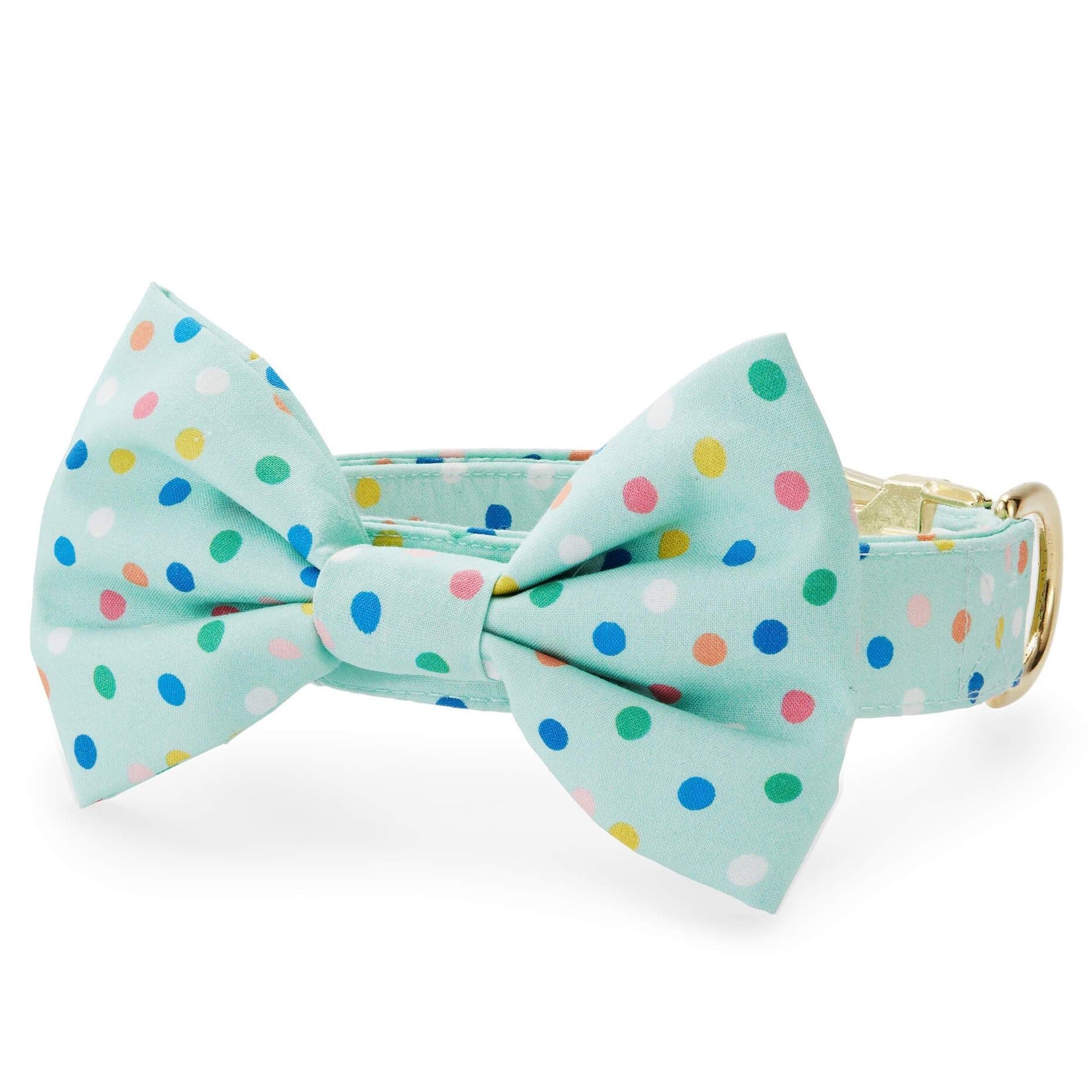 Confetti Dots Bow Tie Collar