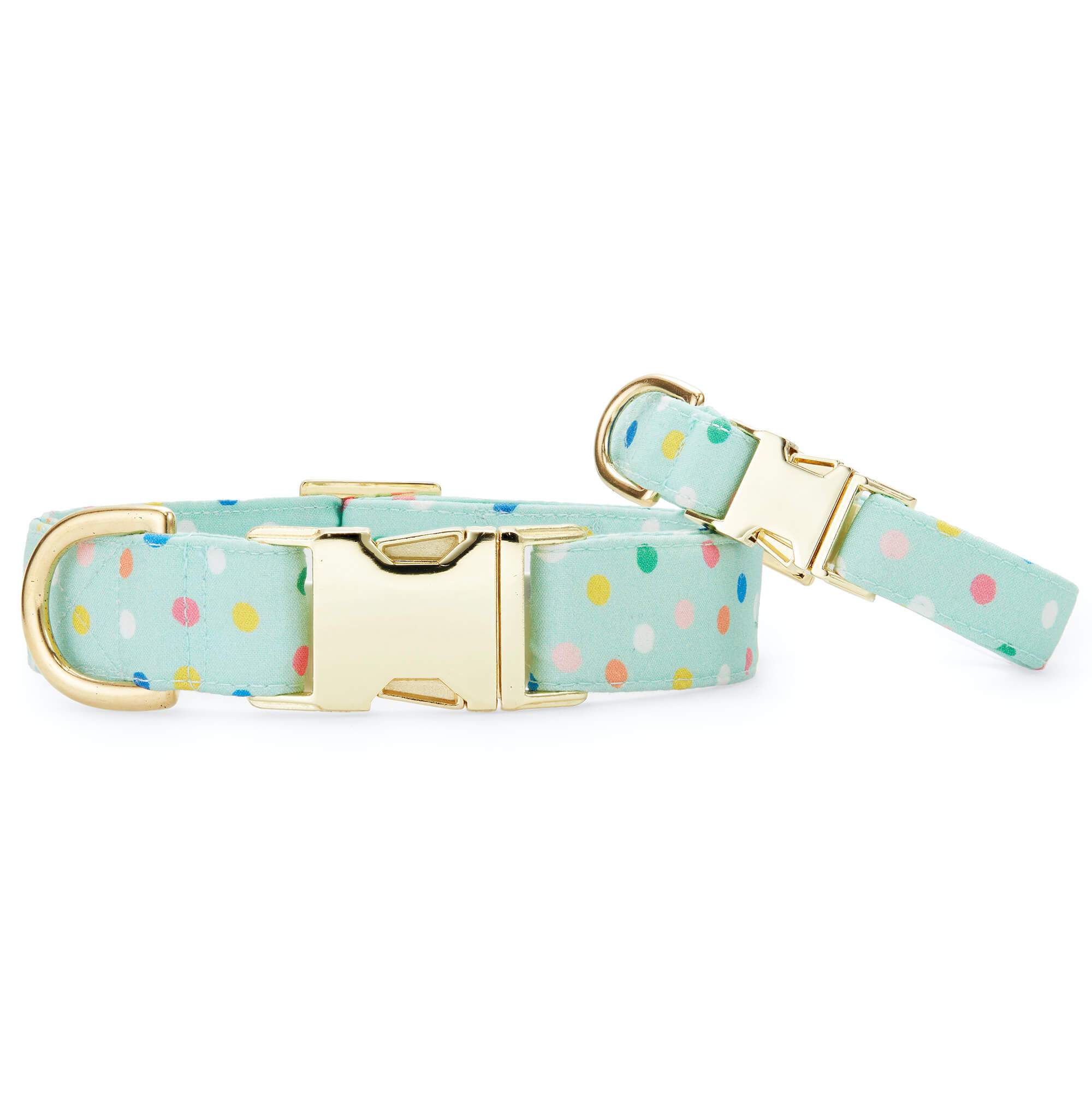 Confetti Dots Dog Collar