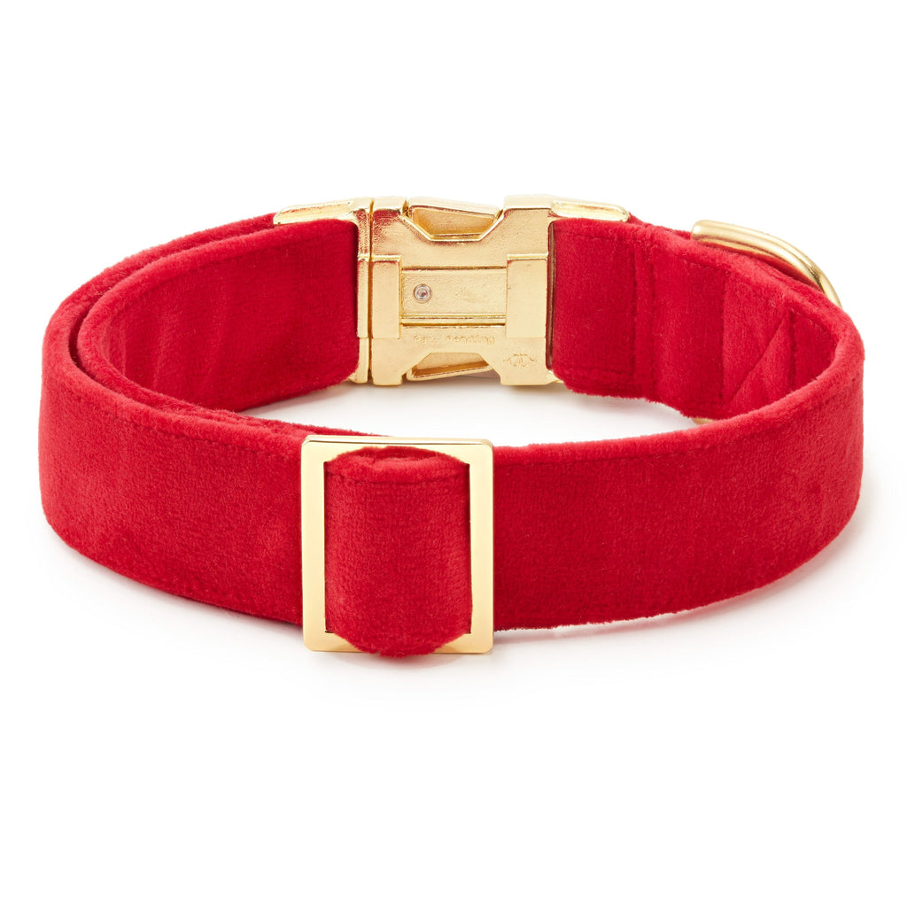 Cranberry Velvet Dog Collar