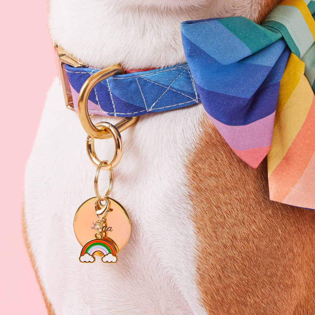 Lucky Rainbow Collar Charm Set
