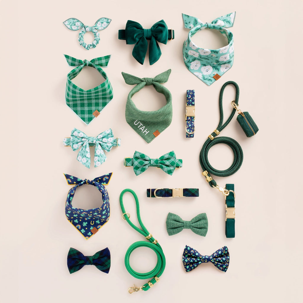 Forest Green Velvet Lady Bow Collar