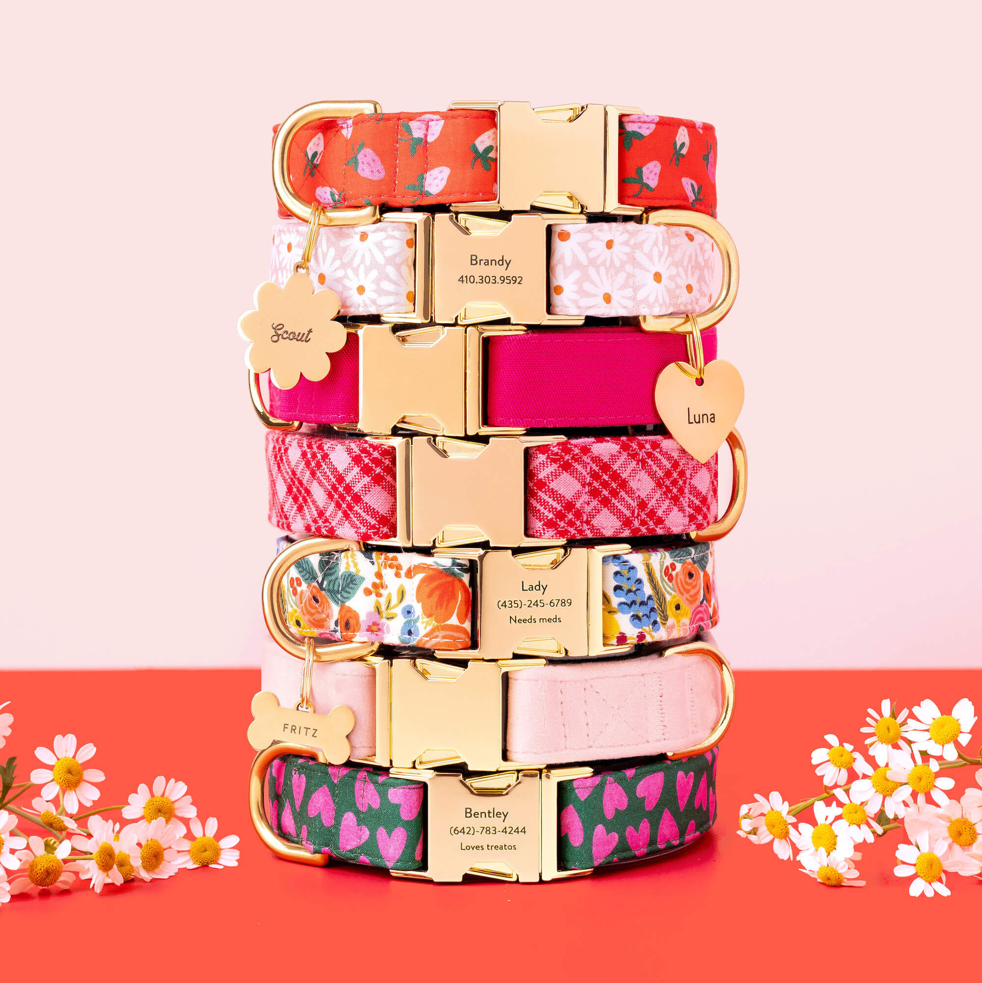 Garden Party Dog Collar