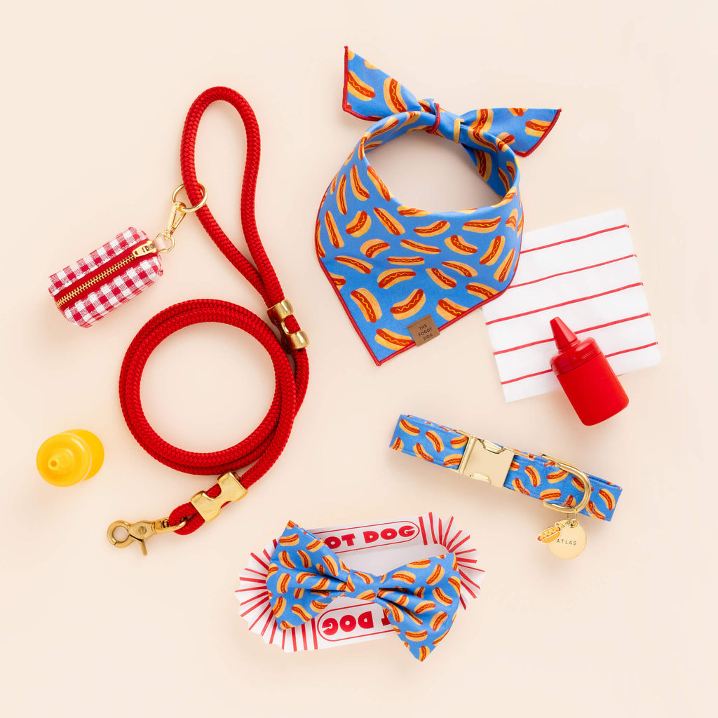 Hot Diggity Bow Tie Collar