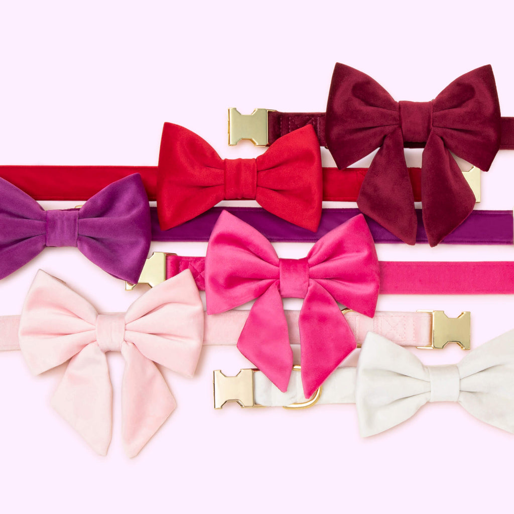 Cranberry Velvet Bow Tie Collar