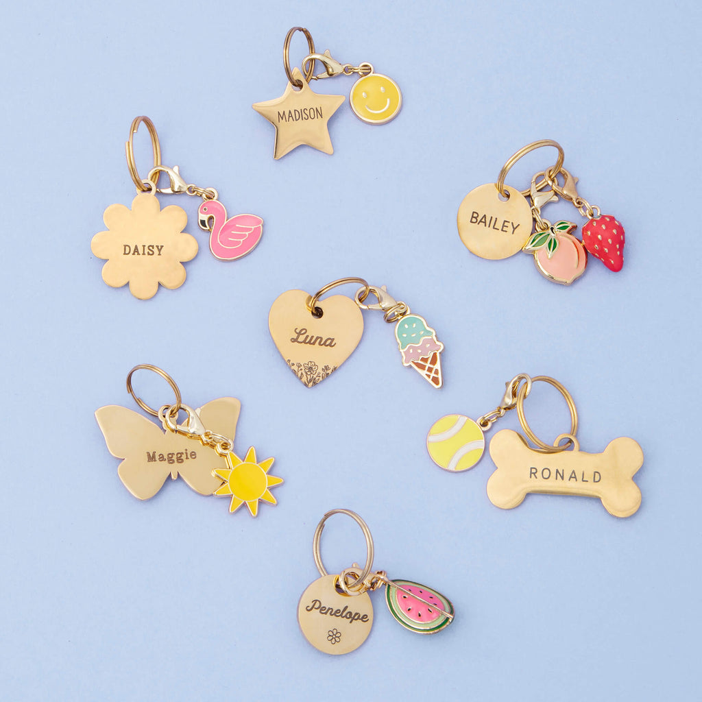 Happy Face Collar Charm