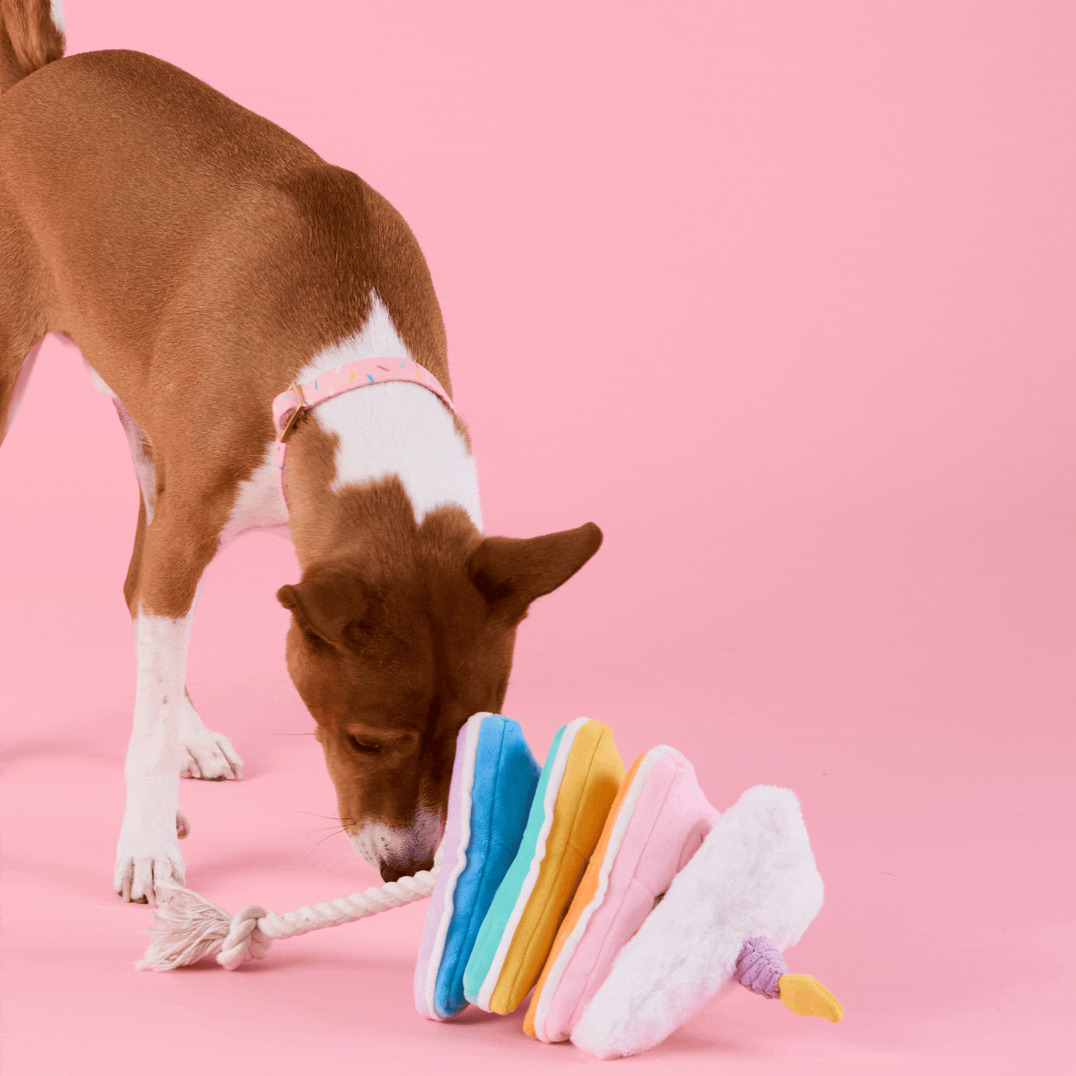 Birthday Cake Interactive Snuffle Dog Toy