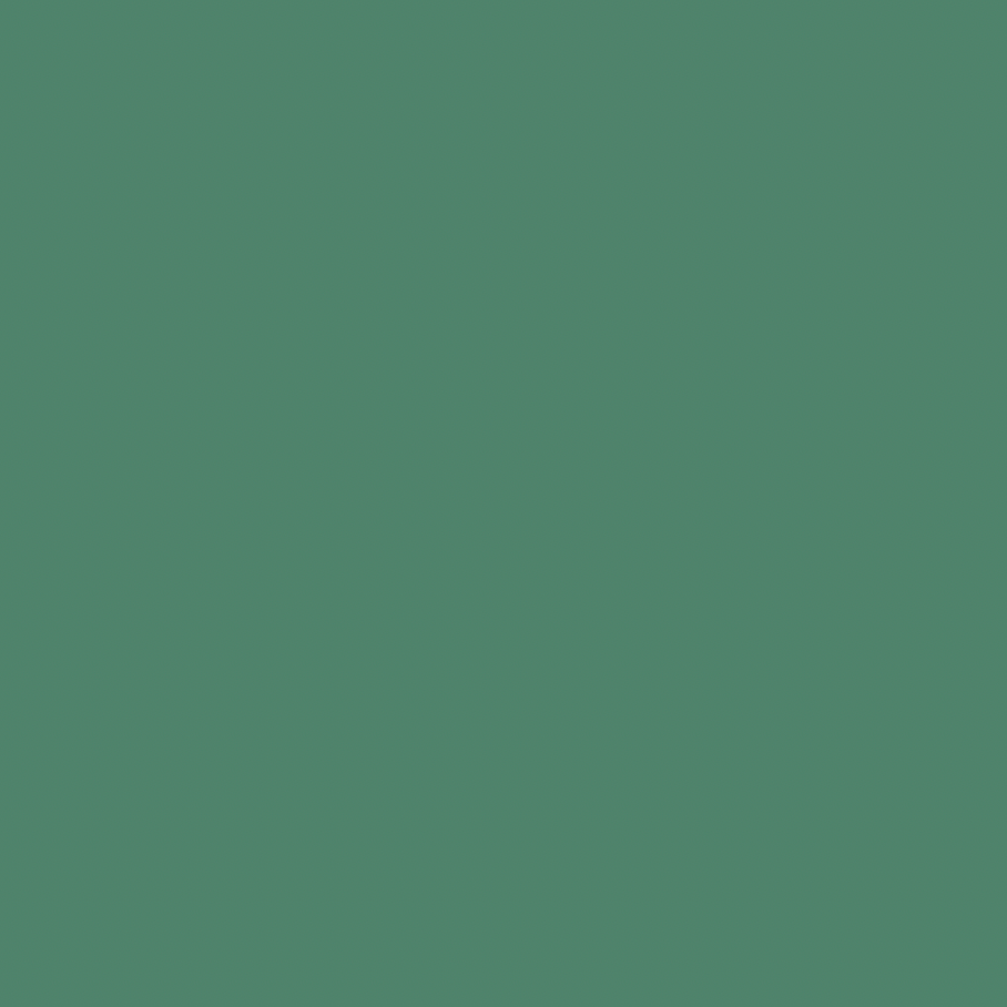 Active Adventure Walk Set, Fern