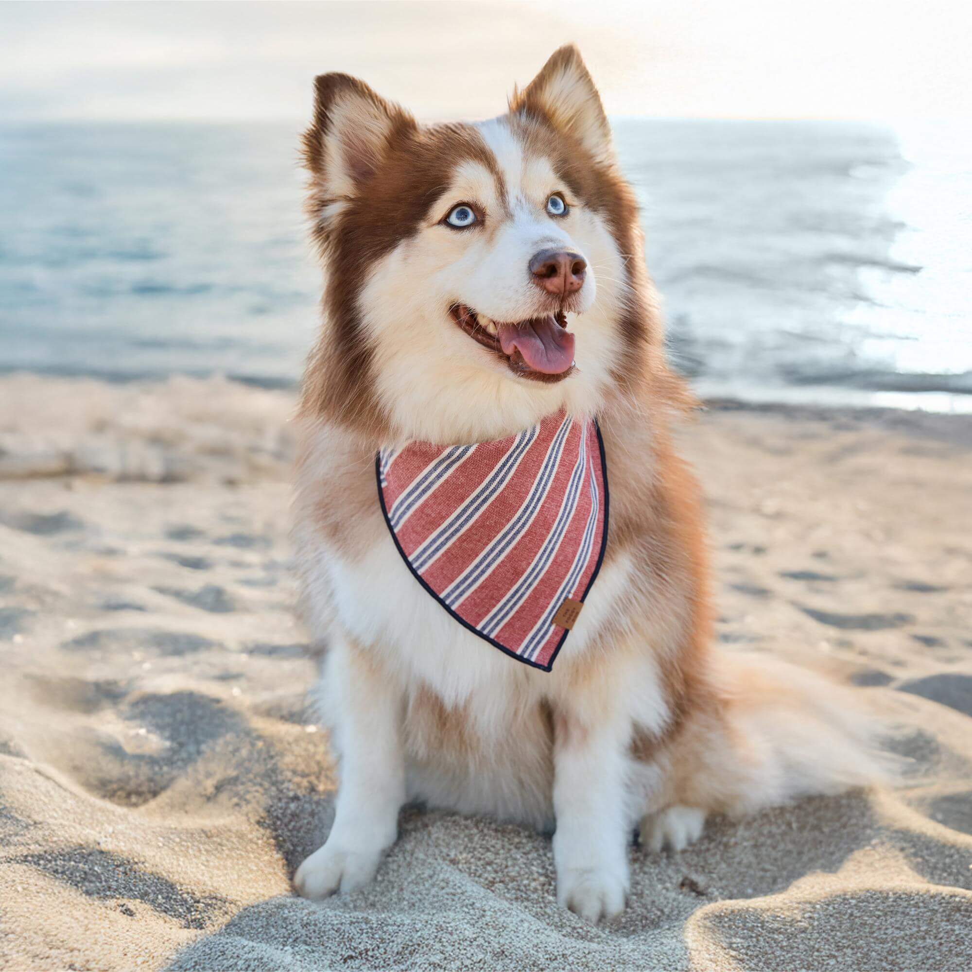 Nantucket Stripe Dog Bandana