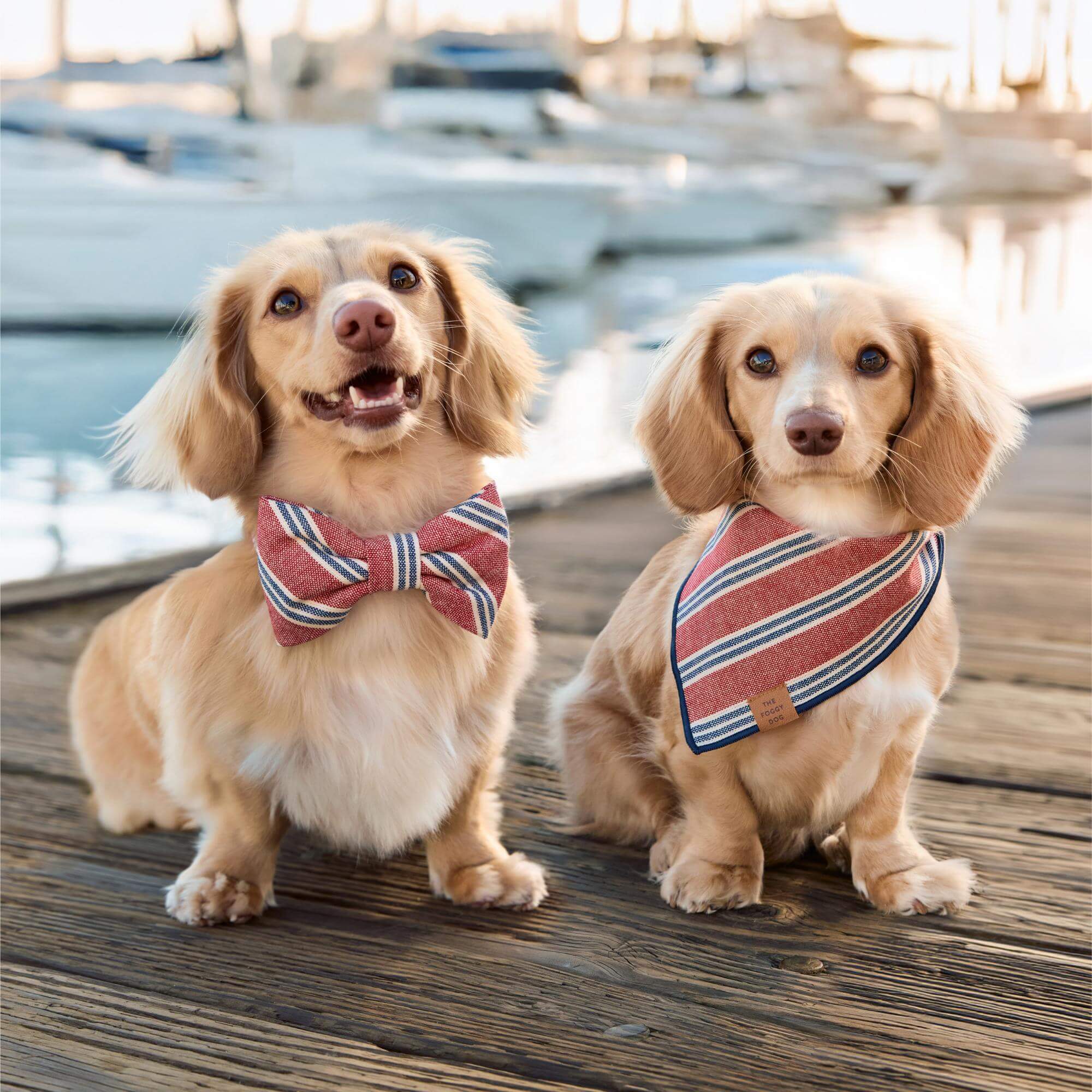 Nantucket Stripe Dog Bandana