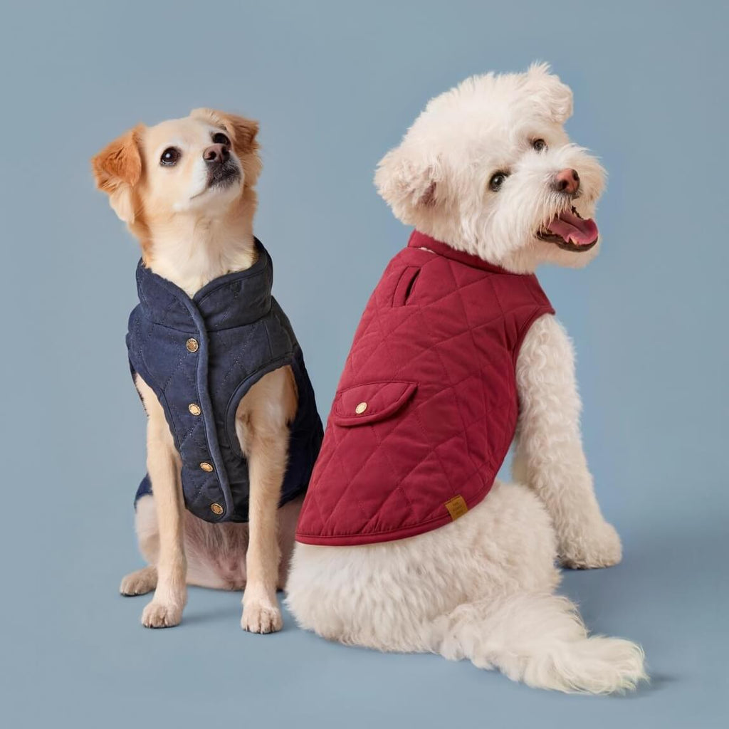 Currant Sherpa-Lined Reversible Dog Jacket