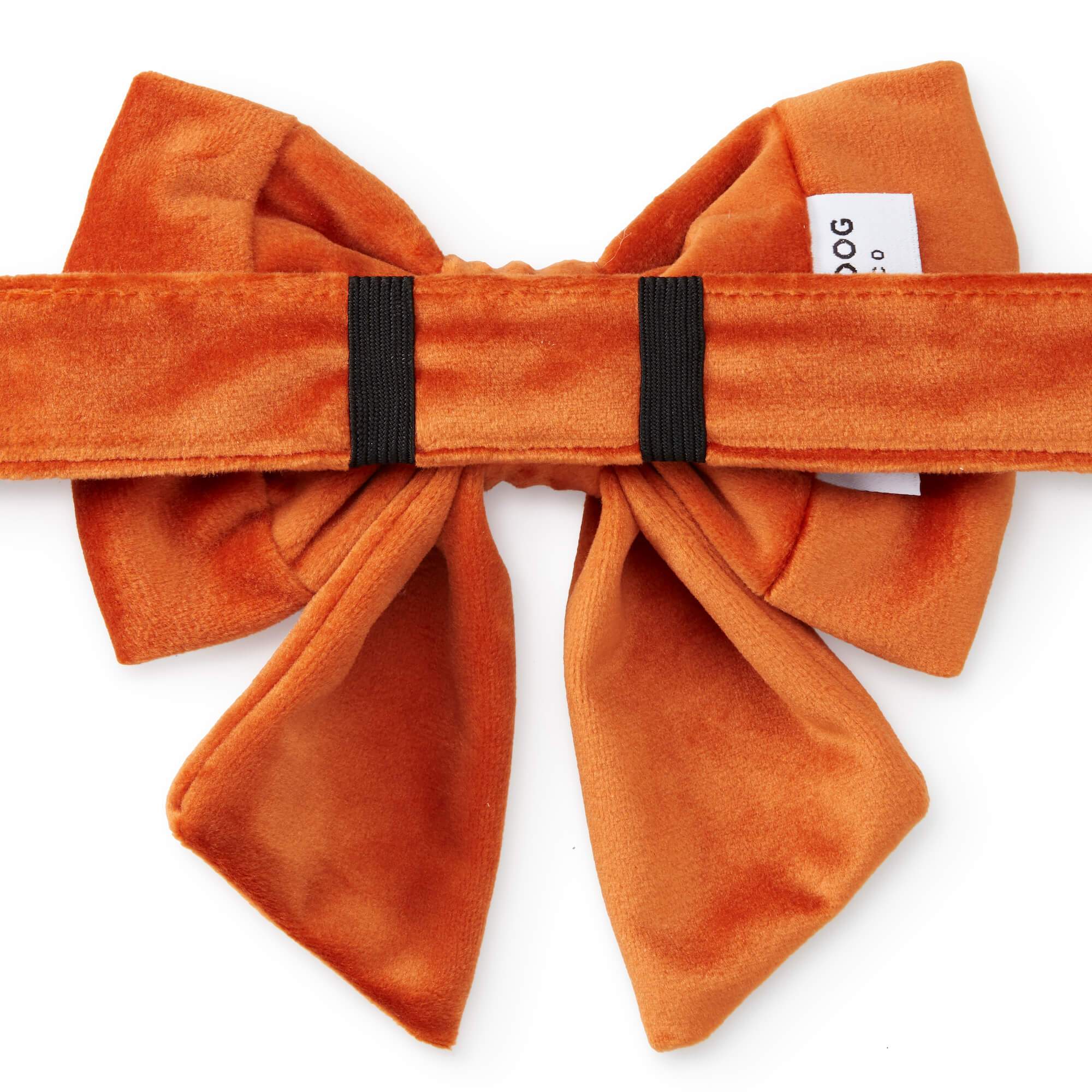 Pumpkin Velvet Lady Bow Collar