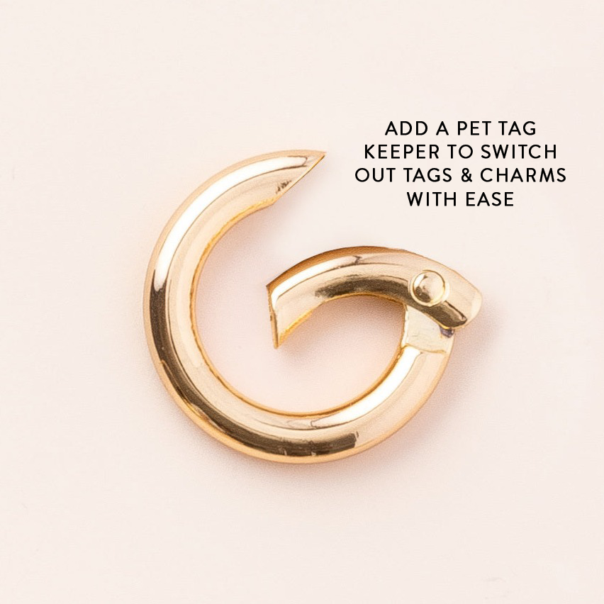 Lucky Rainbow Collar Charm Set