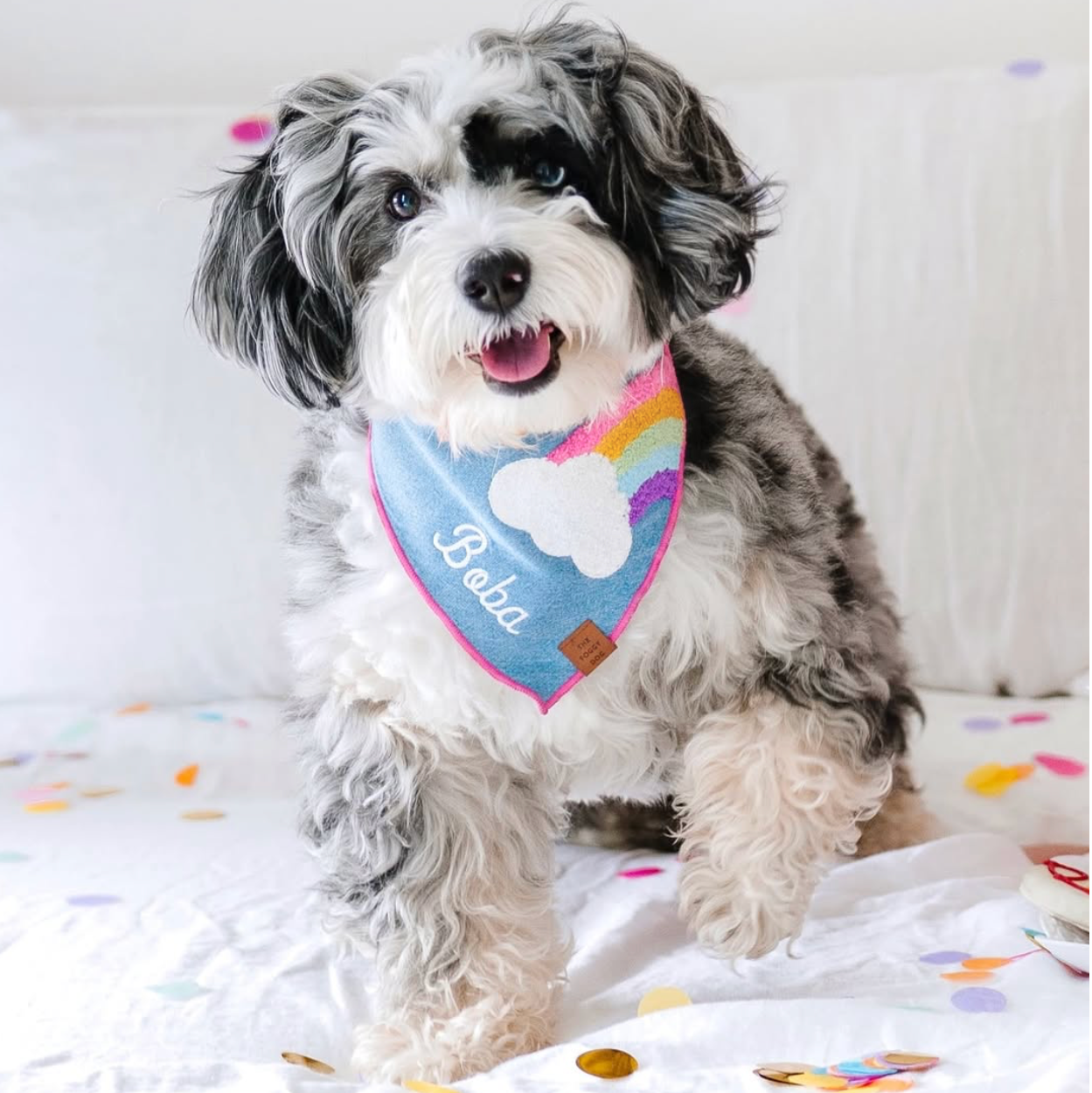 Rainbow Applique Dog Bandana