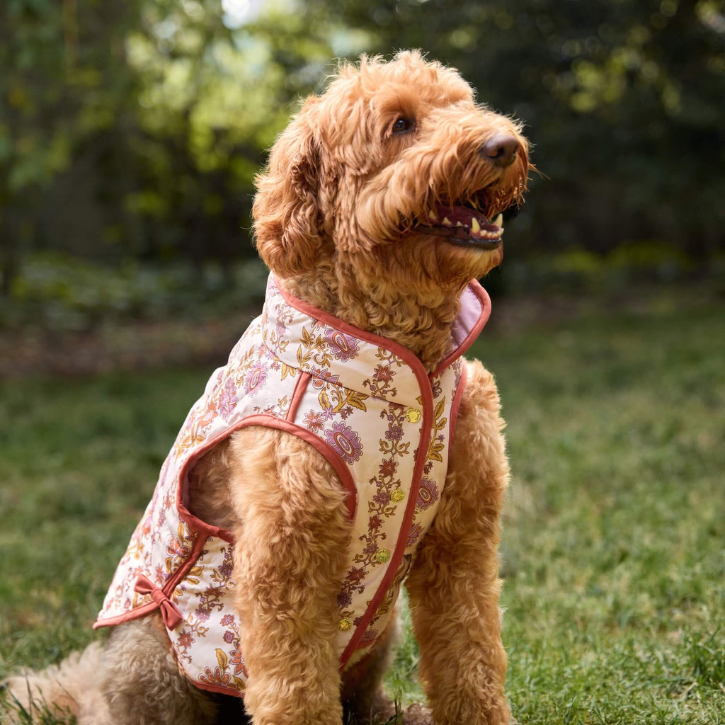 Blockprint Floral Reversible Dog Jacket