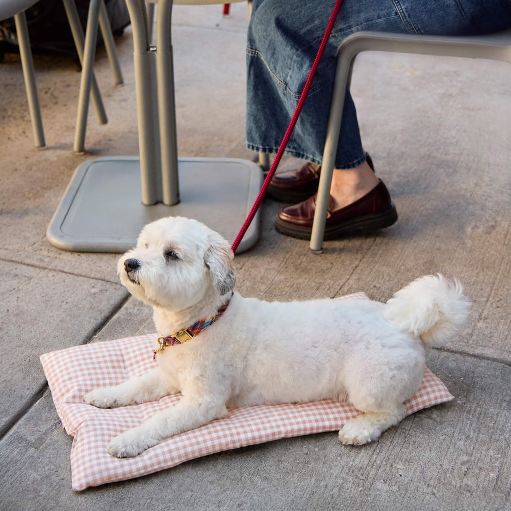 Blush Pink Gingham Dog Travel Mat