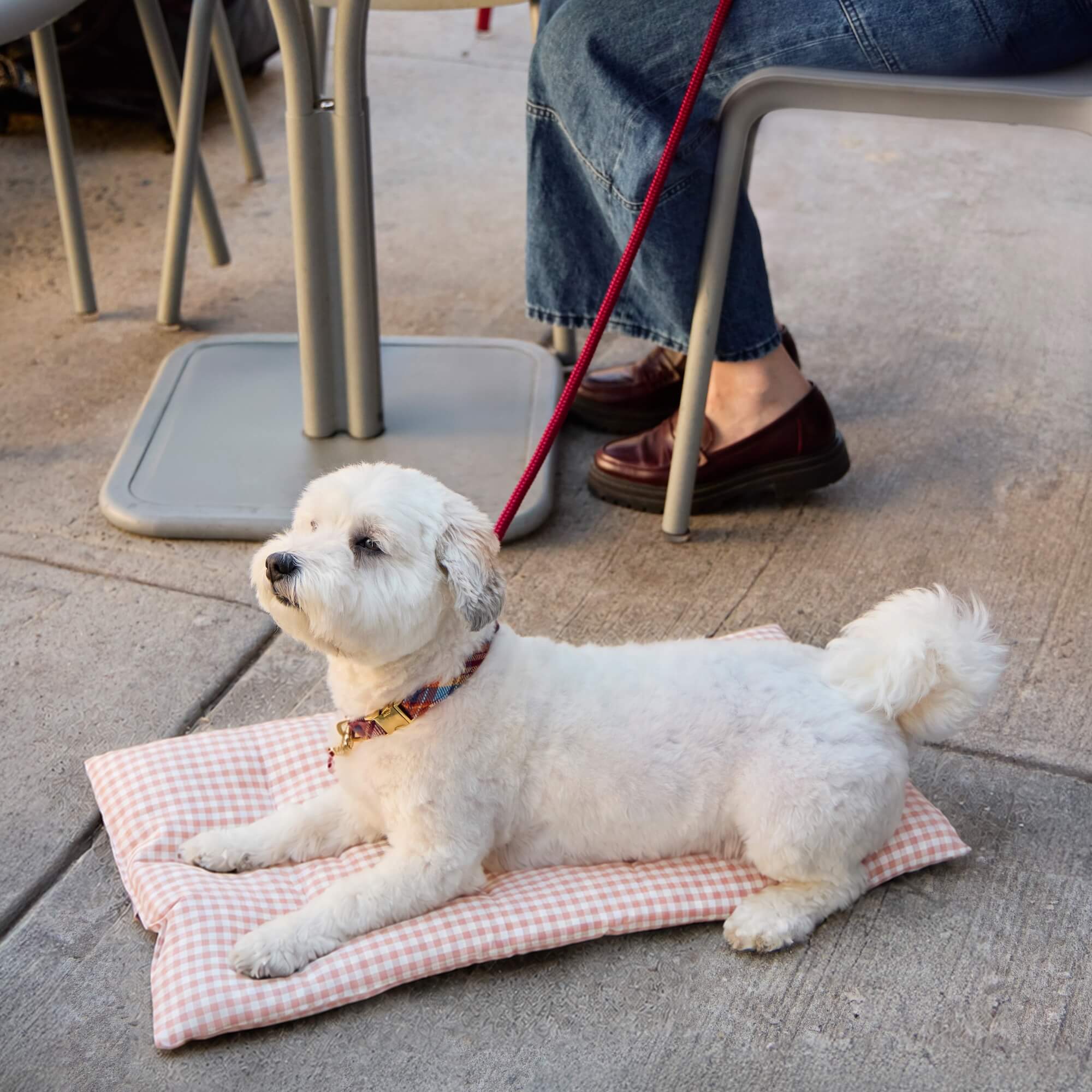 Blush Pink Gingham Dog Travel Mat