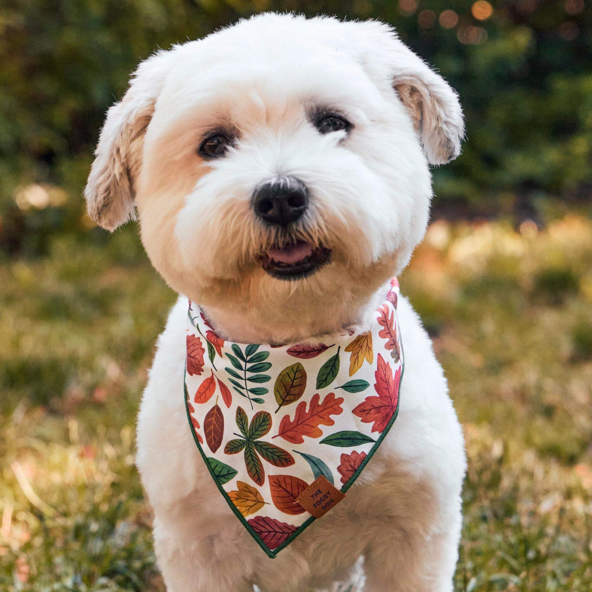 Falling Leaves Dog Bandana