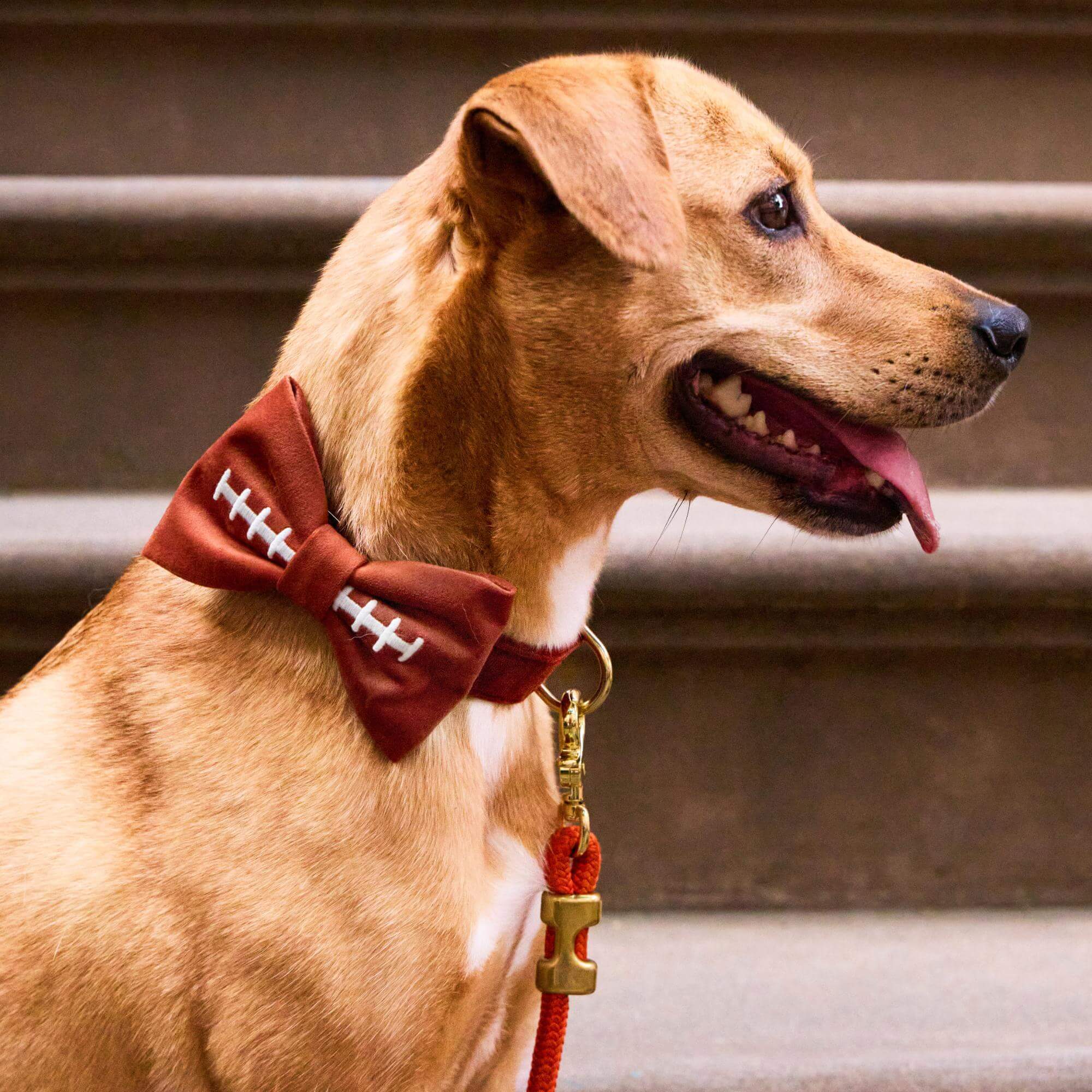 Football Embroidered Bow Tie Collar