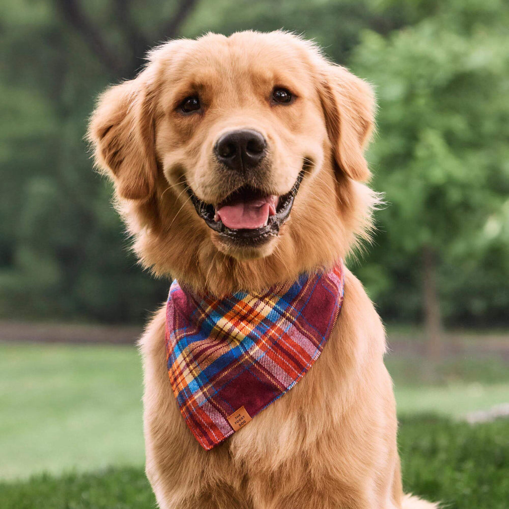 Marlow Plaid Flannel Dog Bandana