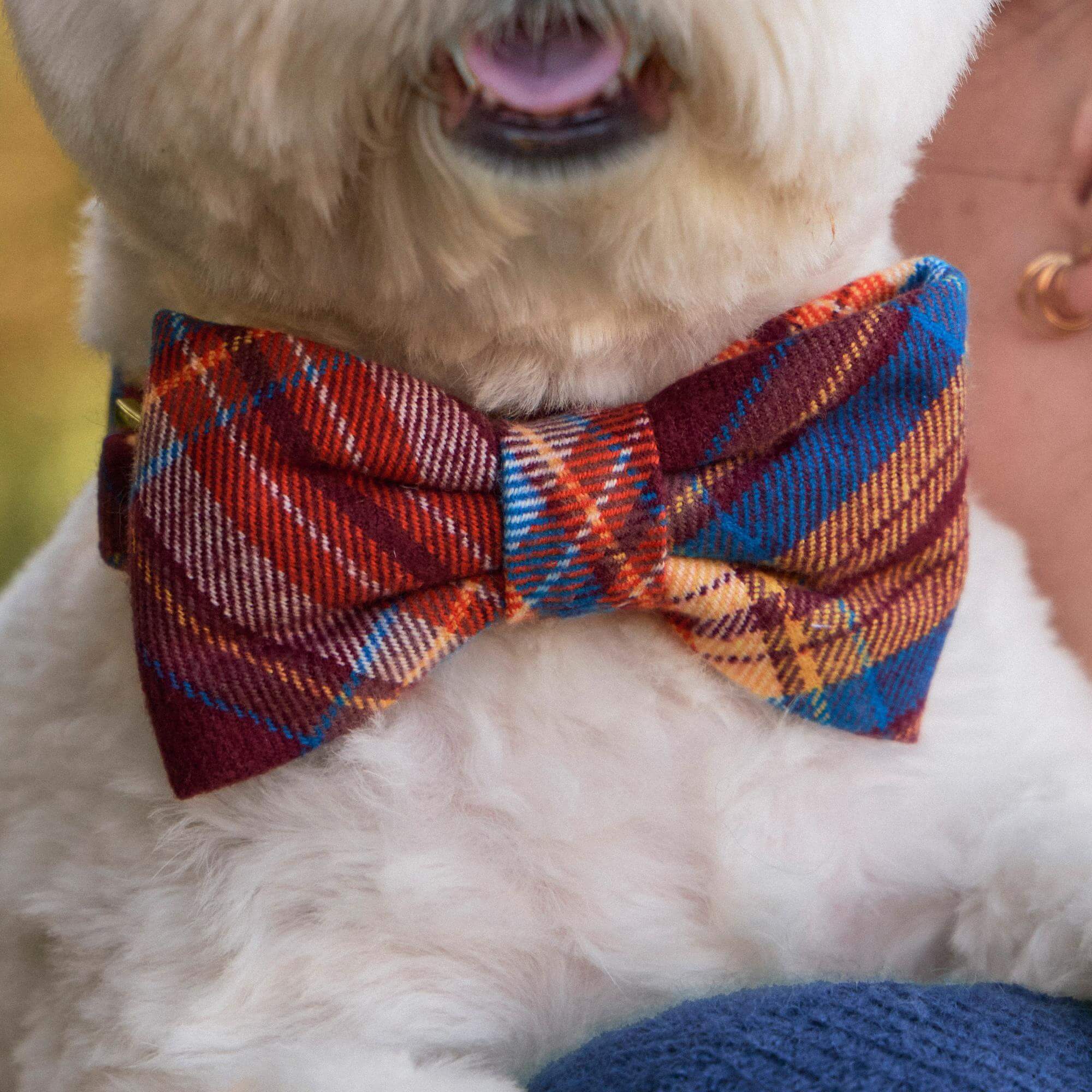 Marlow Plaid Flannel Bow Tie Collar