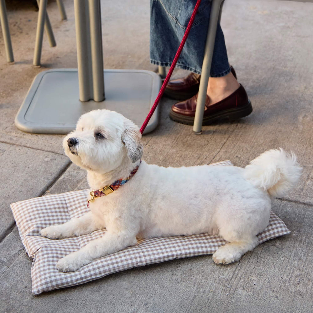 Mushroom Brown Gingham Dog Travel Mat