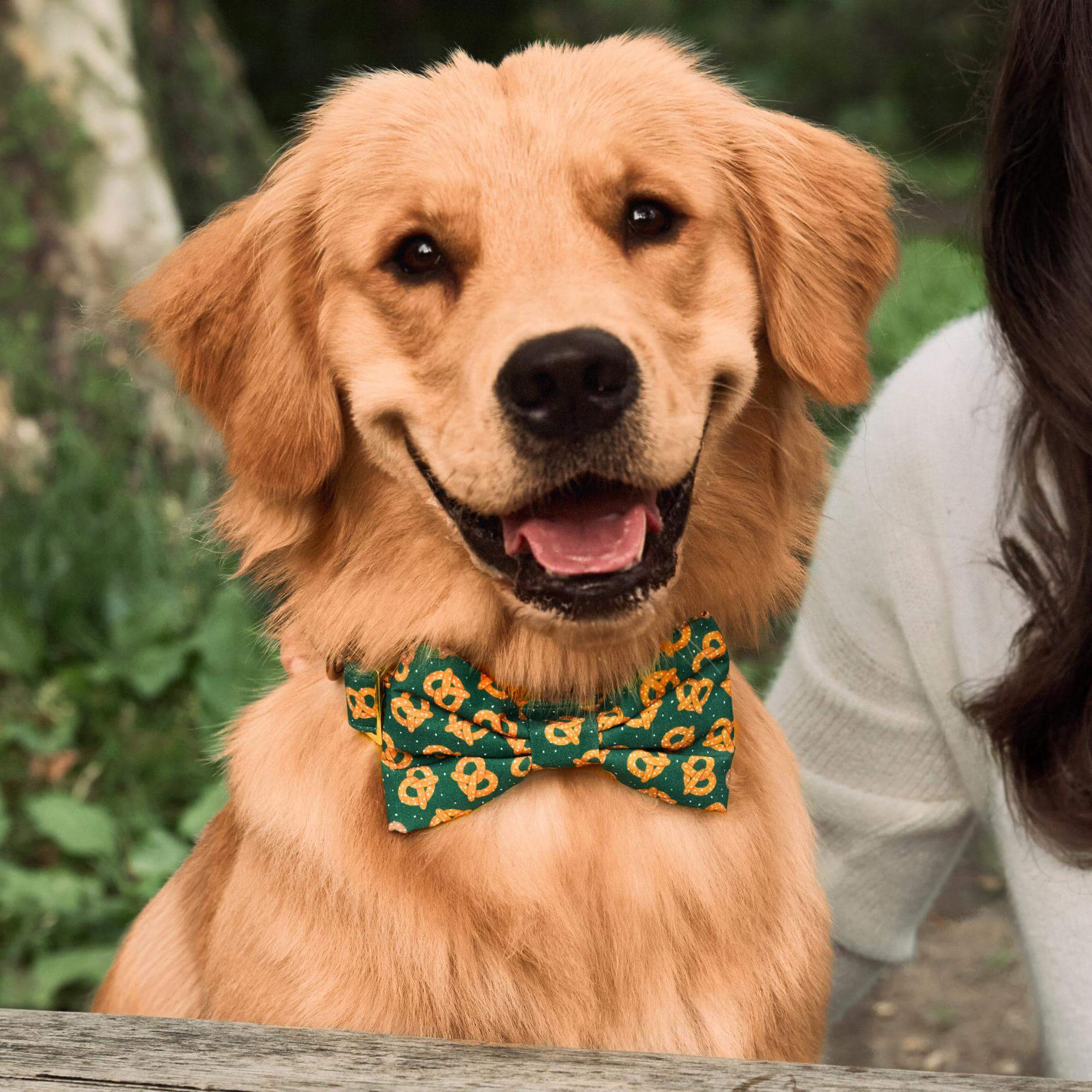Pretzel Party Bow Tie Collar