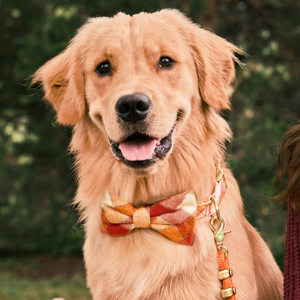 Pumpkin Spice Plaid Flannel Bow Tie Collar