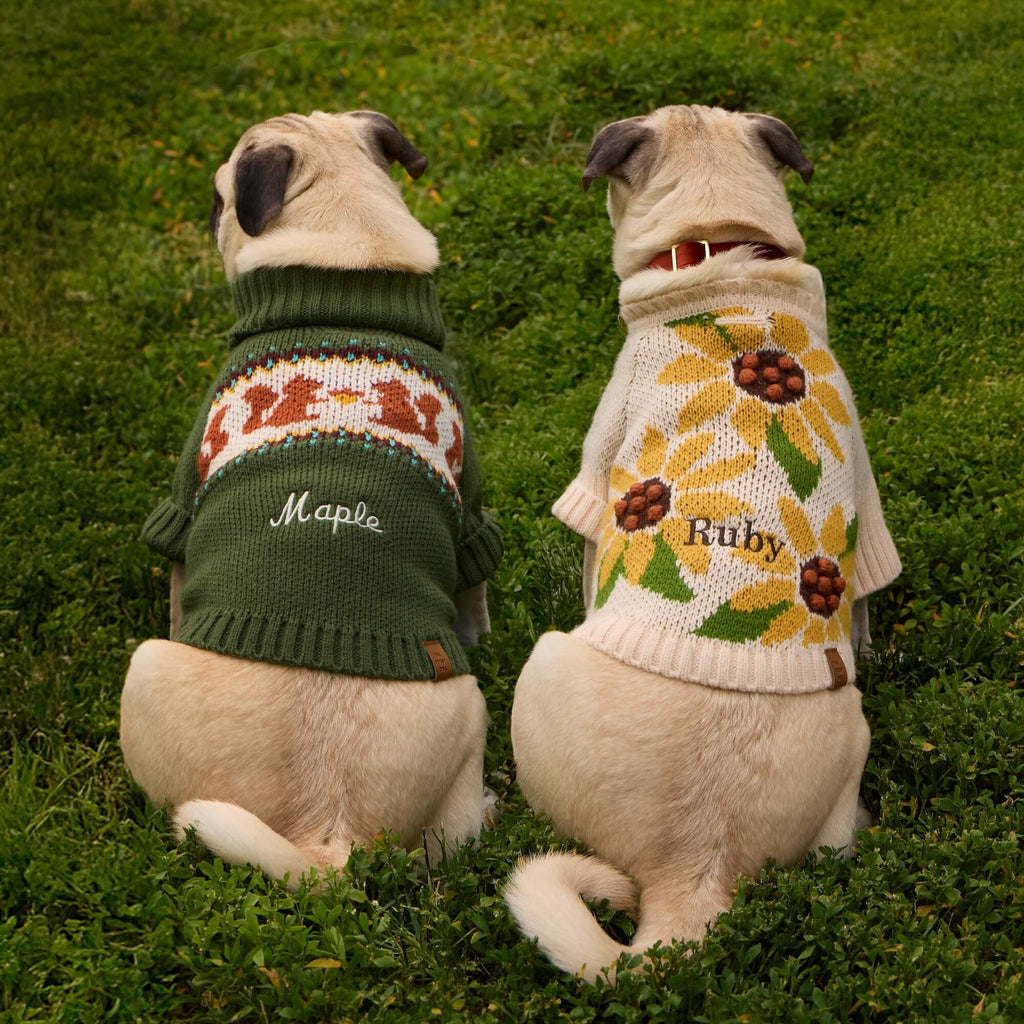 Sunflower Dog Sweater