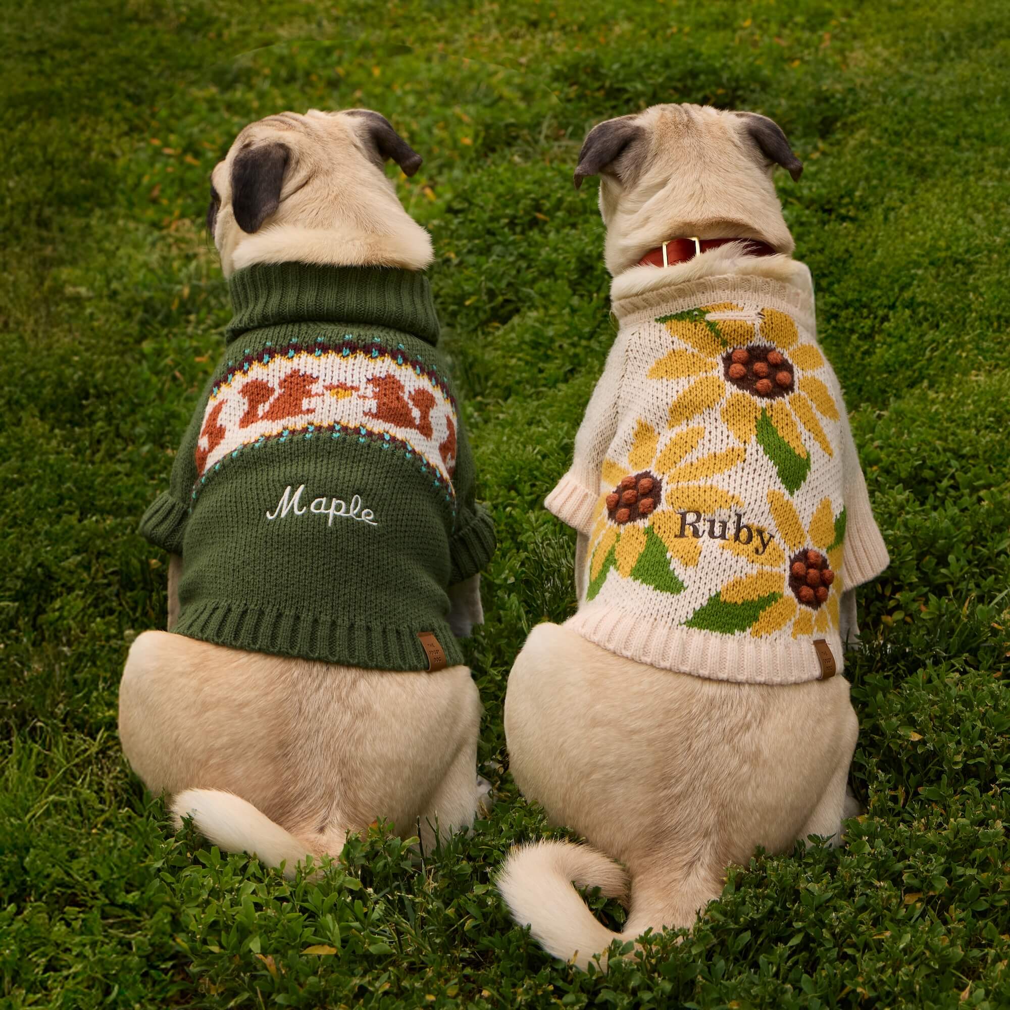 Sunflower Dog Sweater