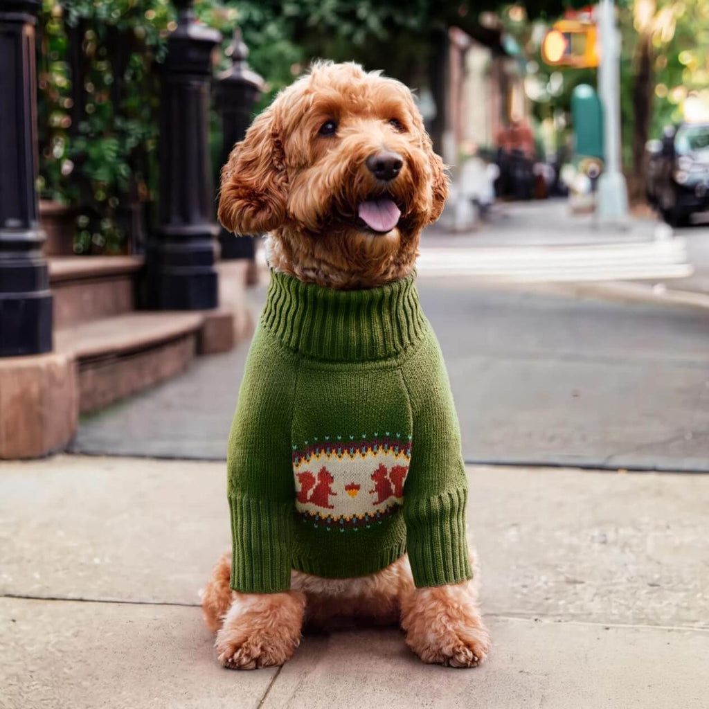 Squirrel Dog Sweater